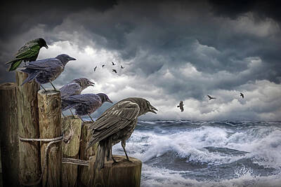 Randall Nyhof Royalty-Free and Rights-Managed Images - A Murder, Flock of Crows perched on Dock Pilings amidst a Sea St by Randall Nyhof
