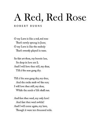 Roses Royalty-Free and Rights-Managed Images - A Red, Red Rose - Robert Burns Poem - Literature - Typography Print 2 by Studio Grafiikka