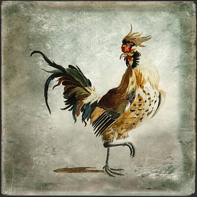 Birds Mixed Media - A rooster by Western Exposure