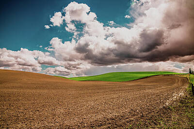 Landscapes Photos - A Sliver of Green by David Patterson