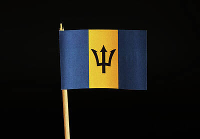 Whimsically Poetic Photographs - A special official Flag of Barbados on wooden stick on black background. Flag is formed black trident and two colours blue and yellow. by Vaclav Sonnek