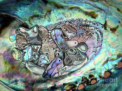 Abstract Landscape Photos - Abalone Offerings by Gwyn Newcombe