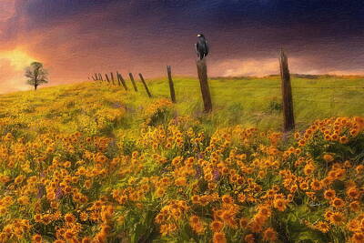 Sunflowers Digital Art - Abandoned Field of Sunflowers by Russ Harris