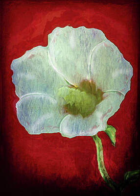Abstract Flowers Digital Art Royalty Free Images - Abstract Flower On Red Royalty-Free Image by David Beard