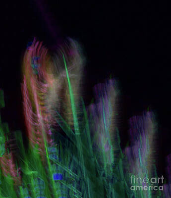 Impressionism Photos -   Abstract impressionist nature photo by Lux Argus