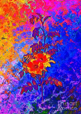 Roses Paintings - Acid Neon Blooming Alpine Rose Botanical Art n.0287 by Holy Rock Design