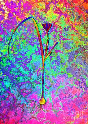 Royalty-Free and Rights-Managed Images - Acid Neon Cape Tulip Botanical Art n.0831 by Holy Rock Design