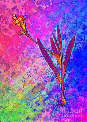 Royalty-Free and Rights-Managed Images - Acid Neon Gladiolus Mucronatus Botanical Art n.0585 by Holy Rock Design