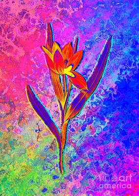 Royalty-Free and Rights-Managed Images - Acid Neon Tulipa Oculus Colis Botanical Art n.0357 by Holy Rock Design