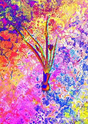 Florals Paintings - Acid Neon Weevil wort Botanical Art n.0037 by Holy Rock Design