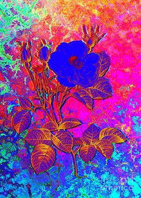 Cowboy - Acid Neon White Rose of York Botanical Art n.0439 by Holy Rock Design