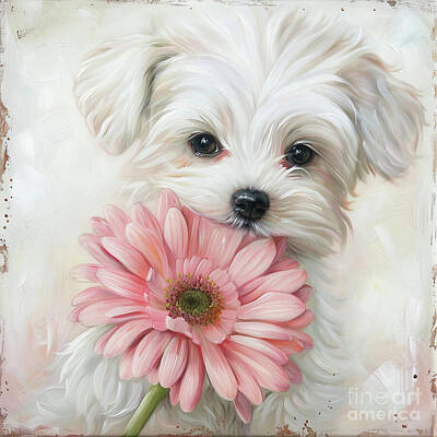 Royalty-Free and Rights-Managed Images - Adorable Little Lucy by Tina LeCour