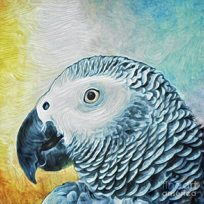 Portraits Mixed Media - African Grey Parrot Close Up Portrait  by Antonia Surich