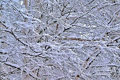 Frame Of Mind Royalty Free Images - After the snowfall 6 Royalty-Free Image by Esko Lindell
