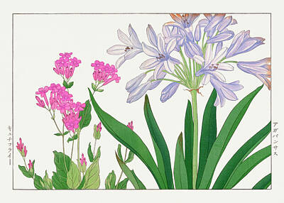 Digital Art - Agaranthus Flower - Ukiyo e art - Vintage Japanese woodblock art - Seiyo SOKA ZUFU by Tanigami Konan by Studio Grafiikka