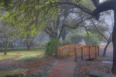 Floral Rights Managed Images - Aiken Misty Morning at Hopelands Gardens  Royalty-Free Image by Steve Rich