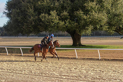 Sports Royalty-Free and Rights-Managed Images - Aiken Training Track - Breeze Day 1 by Steve Rich