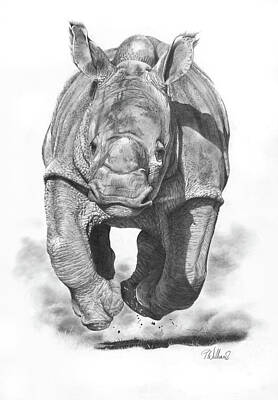 Animals Drawings - Airborne by Peter Williams