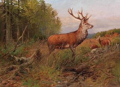 Popular Rustic Neutral Tones Rights Managed Images - Albert Ernst Muhlig Dresden 1862 1909 Red Deer On the Lookout, on the reverse inscribed and signed Royalty-Free Image by Timeless Images Archive