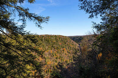 Mountain Rights Managed Images - Allegheny Mountains - View Between the Trees Royalty-Free Image by David Beard