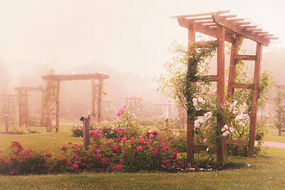 Target Eclectic Nature - Arbors In the Mist by Jason Fink