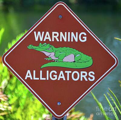 Reptiles Photo Royalty Free Images - Alligator warning sign in Florida Royalty-Free Image by David Lee Thompson