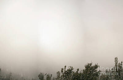 On Pointe - Alpine Fog by PROMedias US