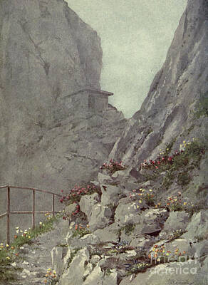Mountain Drawings - Alpine Garden the Rambertia g2  by Historic Illustrations