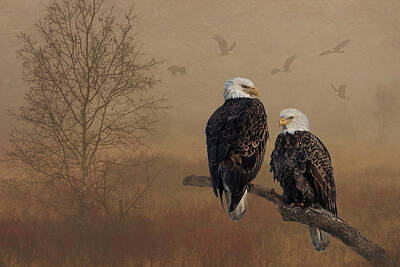 Landmarks Rights Managed Images - American Bald Eagle Family Royalty-Free Image by Patti Deters