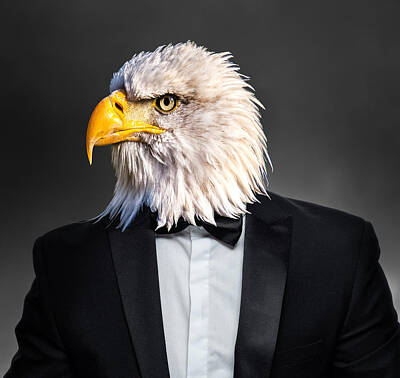 Surrealism Digital Art - American Bald Eagle in Tuxedo Suit Surreal by Barroa Artworks