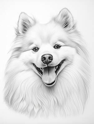 Landmarks Mixed Media - American Eskimo Dog Pencil Drawing by Stephen Smith Galleries