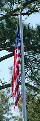 Landmarks Rights Managed Images - American flag Royalty-Free Image by Roger Look