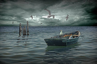 Bear Photography - Anchored Boat Before The Storm with Gulls by Randall Nyhof