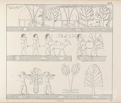 Landscapes Drawings - Ancient Egyptian Landscape b2 by Historic Illustrations