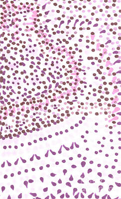 Egon Schiele - Andrea-patterns-dots-pink-fulldotsblush by AB CreativeDuo