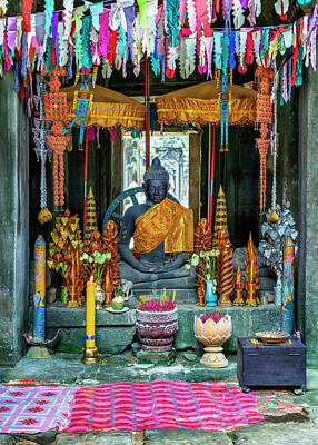 Catch Of The Day - Angkor Shrine by Stephen Stookey