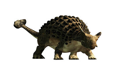 Reptiles Digital Art - Ankylosaurus by Daniel Eskridge