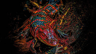 Reptiles Digital Art -  Venomous Alligator by Kaos Family Art