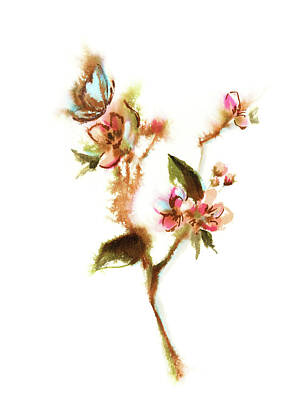 Food And Beverage Royalty-Free and Rights-Managed Images - Apple Blossoms by Sophia Rodionov