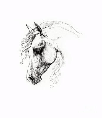 Animals Drawings - Arabian Horse Drawing 15 by Ang El