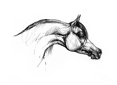 Animals Drawings - Arabian Horse Drawing 30 by Ang El