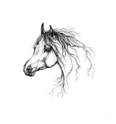 Animals Drawings - Arabian Horse Drawing 37 by Ang El