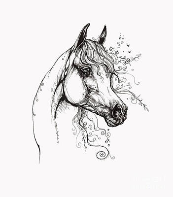 Animals Drawings - Arabian Horse Drawing 9 by Ang El