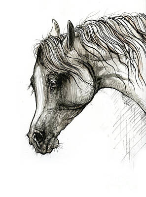 Mammals Drawings - Arabian horse head 2020 02 14 by Ang El