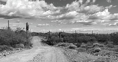 Studio Grafika Typography - Arizona Back Roads 5 BW by Teresa Wilson