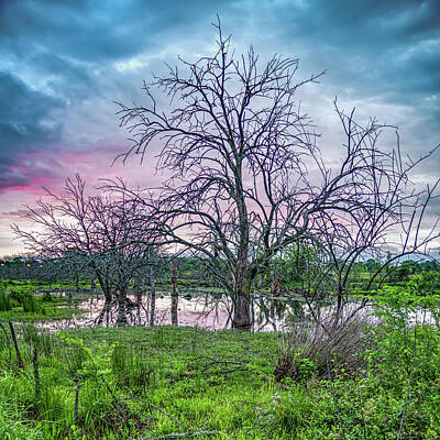 Luck Of The Irish - Arkansas Osage Park Wetland Sunrise by Gregory Ballos