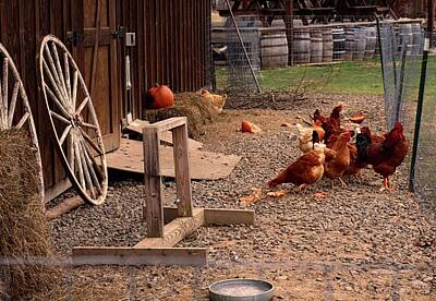 Beer Royalty-Free and Rights-Managed Images - Arrowhead Farms Hen House by Christopher James