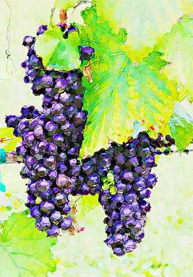 Wine Down Rights Managed Images - Artistic Hanging Grapes And Leaves 4 Royalty-Free Image by Cathy Lindsey