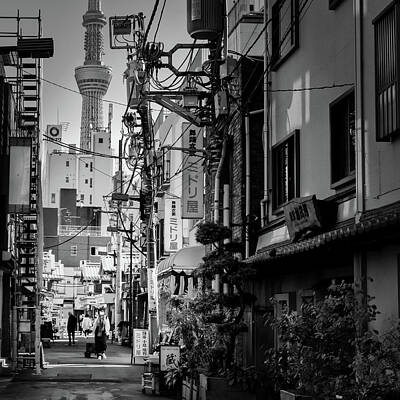 Wildlife Photography - Asakusa Streets 3 by Bill Chizek