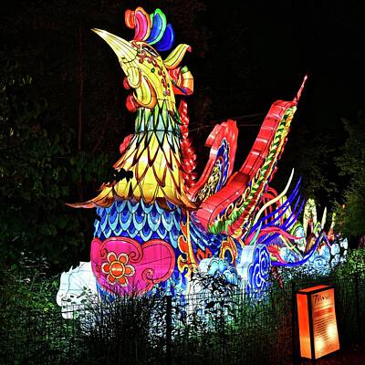 Minimalist Superheroes - Asian Dragon Lantern Festival by Frozen in Time Fine Art Photography